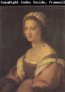Andrea del Sarto Portrait of a Young Woman (san05)